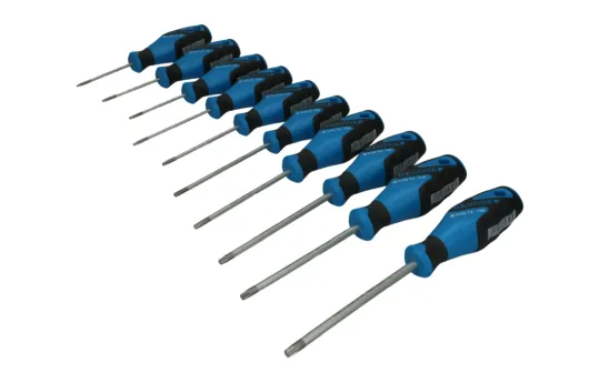 SCHROEVENDRAAIERSET GEDORE TORX 2163 BTX 010 10DELIG