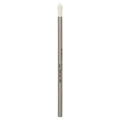 TEGELBOOR  BOSCH CYL9 CERAMIC